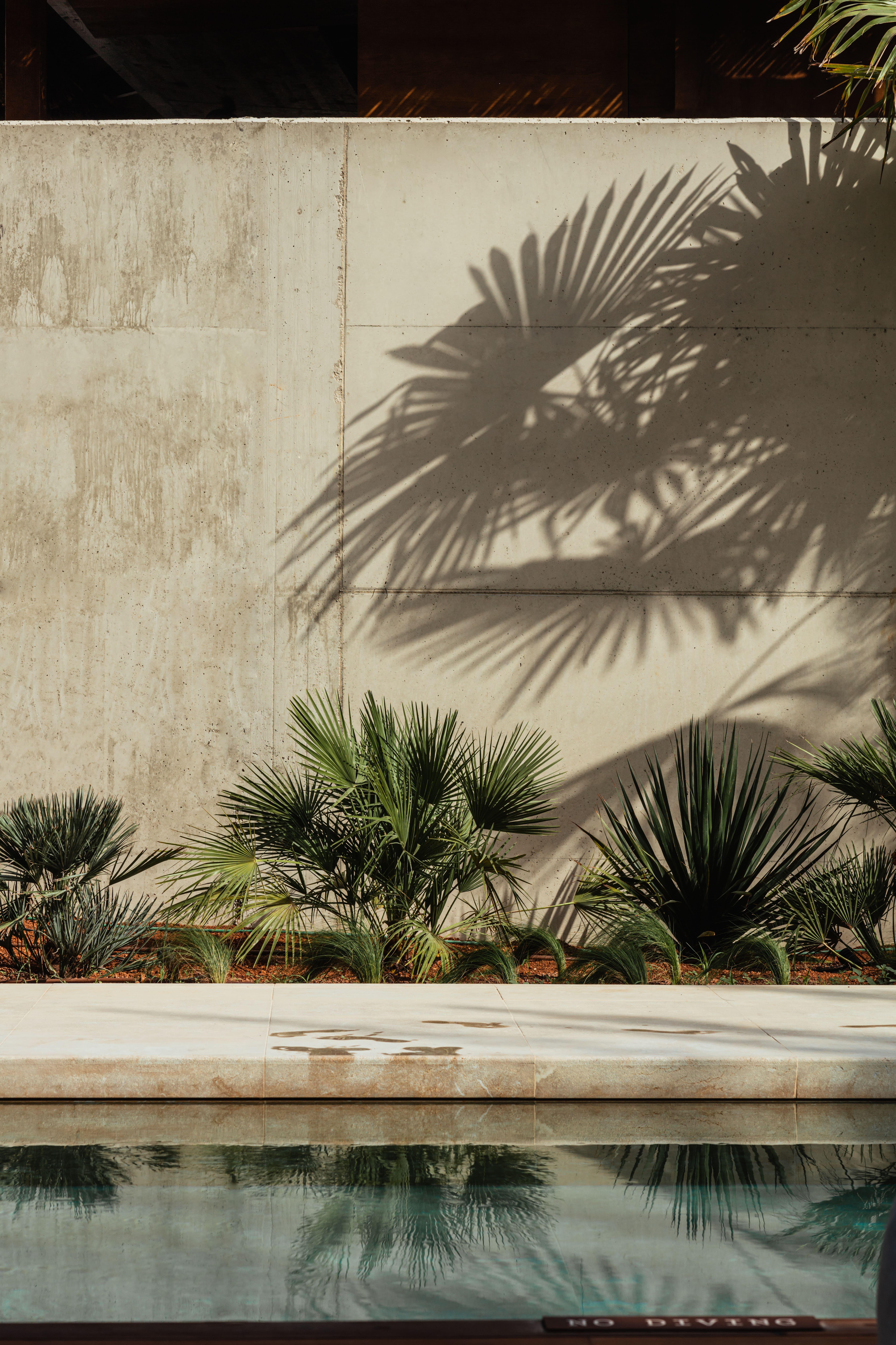 Oku Ibiza (Adults Only) Hotel ซานอันโตนิโอ ภายนอก รูปภาพ Palm shadow